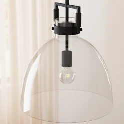 Glass Dome Shade Ceiling Pendant Light Black