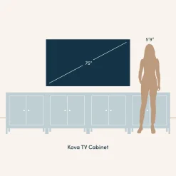 Metal and Rattan TV Stand Console for TVs up to 100