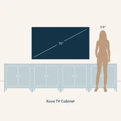 Metal and Rattan TV Stand Console for TVs up to 100