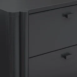 Mid Century Modern 2-Drawer Solid Wood Nightstand Black (Set of 2)