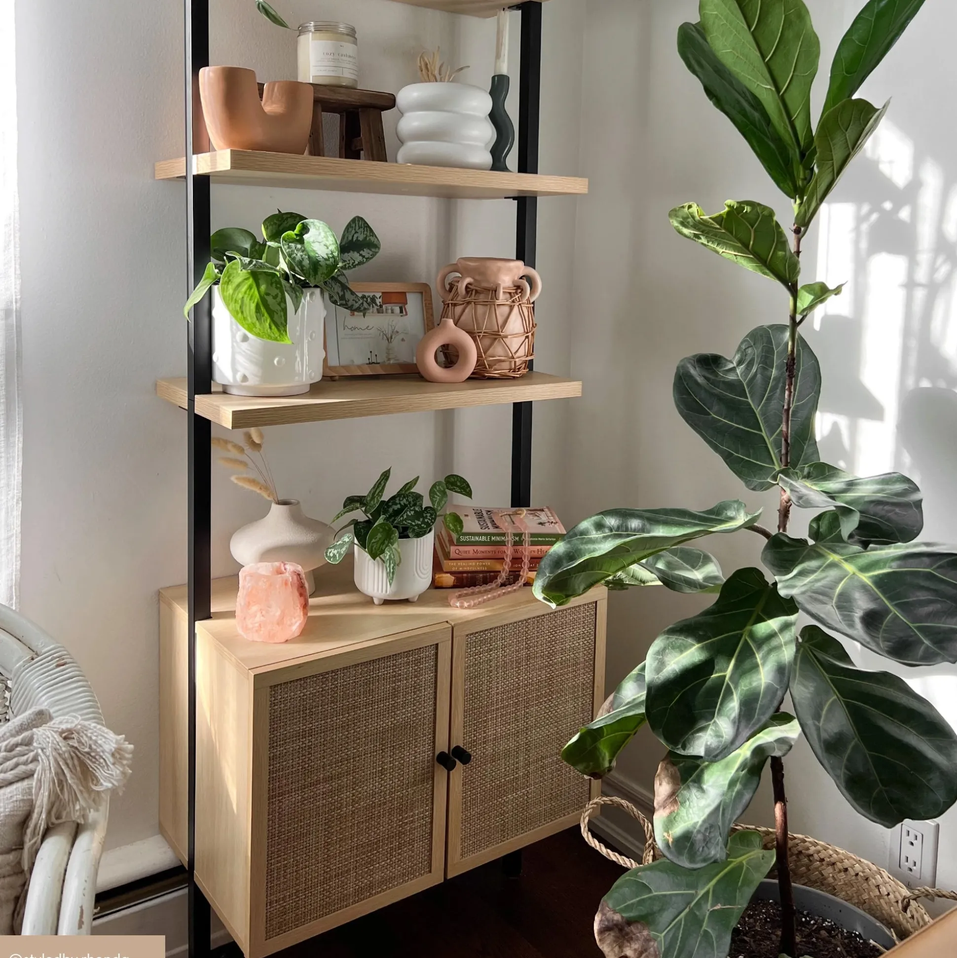 Rattan Ladder Wall Bookshelves with Doors Light Oak (Set of 2)