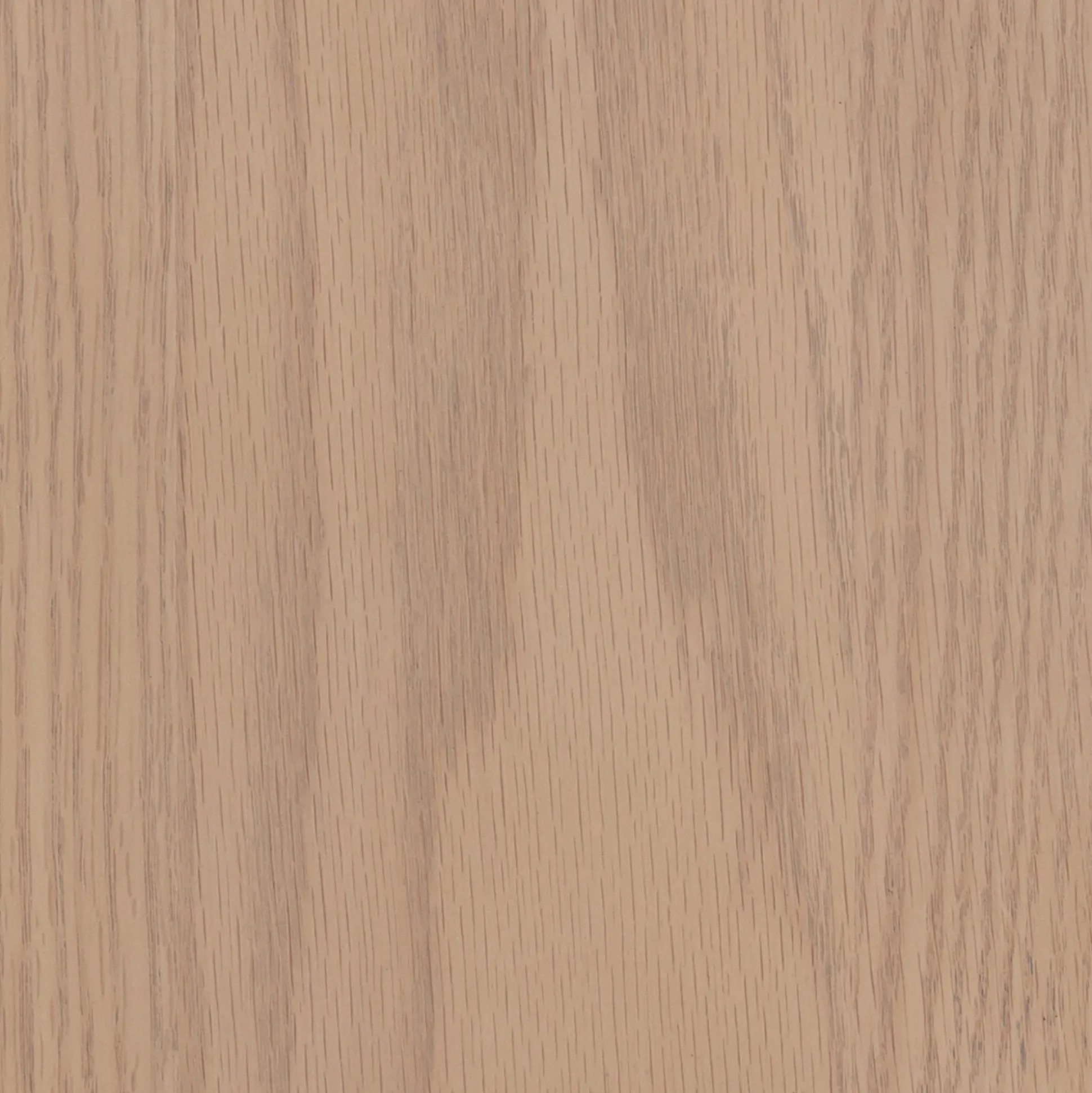 Rounded Wood TV Console Cabinet Raw Oak for TVs up to 65"