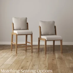 Scandinavian 2-Pack Bar Stool with Back Light Brown