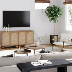 Seagrass Arched TV Console Cabinet for TVs up to 65