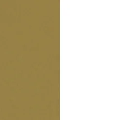 5-Shelf Ladder Wall Bookshelves White Gold (Set of 3)