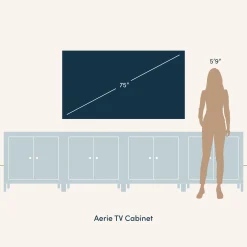 Woven Seagrass TV Console Cabinet for TVs up to 100